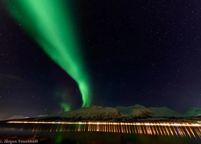 Aurora Dream