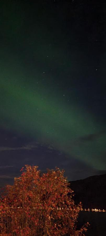 Aurora Dream *