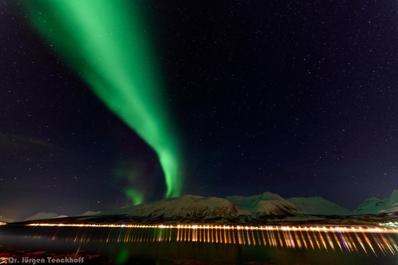 Aurora Dream