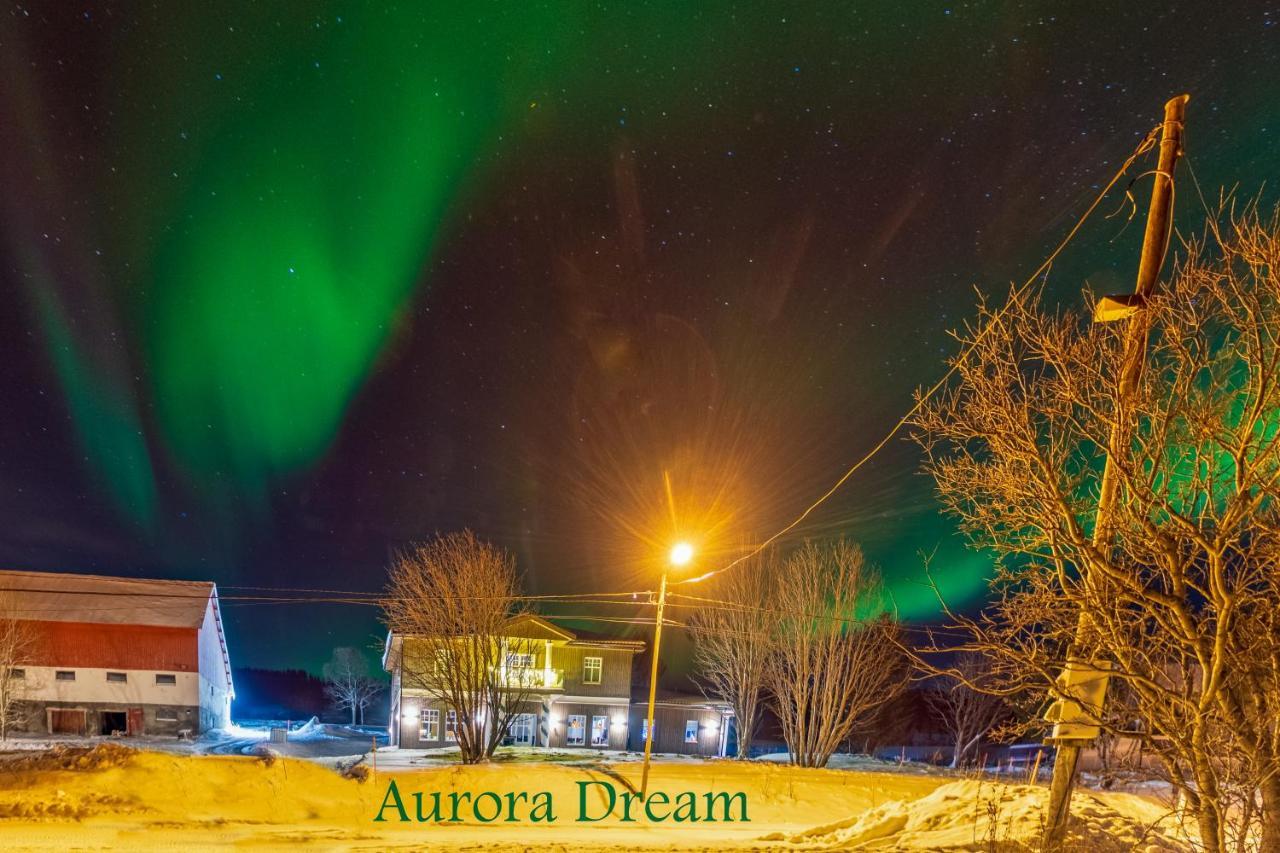 Aurora Dream Svensby